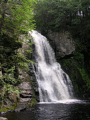 The Main Falls at Bushkill Falls PA