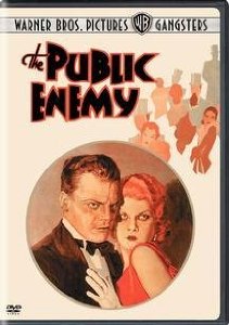Cover of "The Public Enemy"