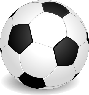 A football (or soccer ball) icon.